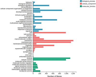 <mark class="highlighted">Transcriptome Profile</mark> Changes Associated With Heat Shock Reaction in the Entomopathogenic Nematode, Steinernema carpocapsae